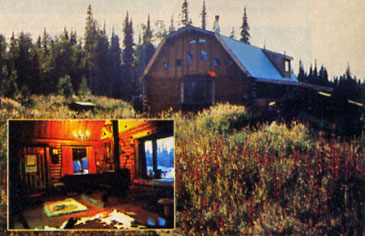 The Potters constructed a homestead on 10 acres near a tiny fishing village in Alaska.